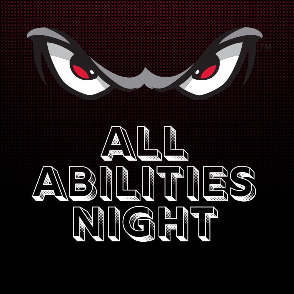 Champions at All Abilities Night — Lake Elsinore Storm